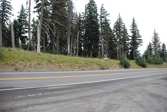 Timberline Road -0818