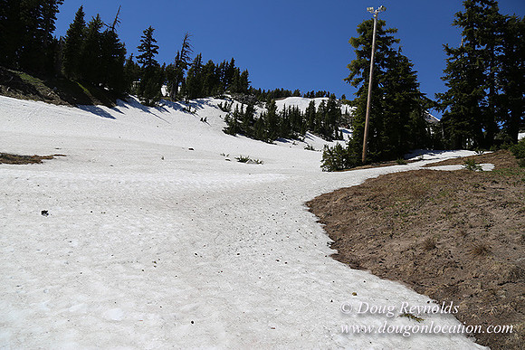 Medow's Snow-5730