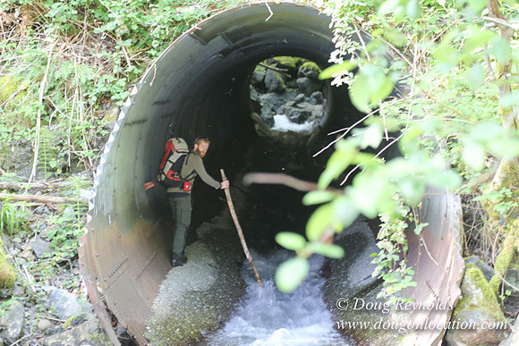 Ross on Jerry Flt Creek-2570