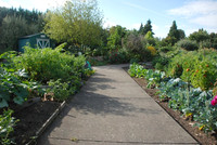 Kennedy community gardens