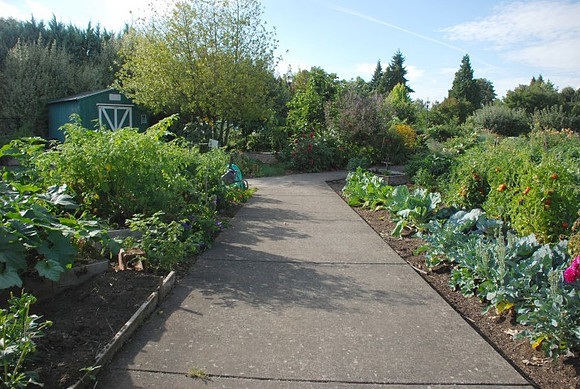 Kennedy community gardens