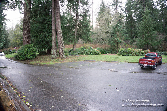 Vashon View