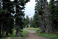 cabins off West Leg Rd-0683