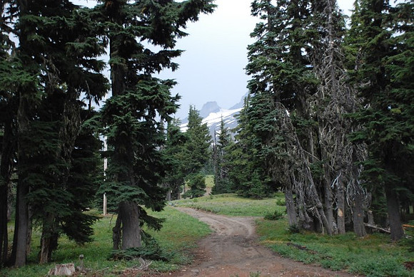 cabins off West Leg Rd-0683