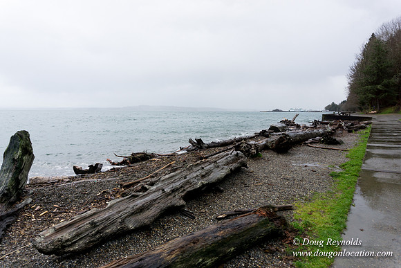 Owen Beach At Pt D