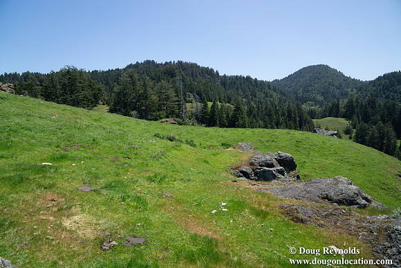 Ranch 26  Large Green Hill-