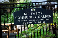 Mt Tabor Park community garden