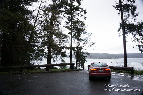 Vashon View