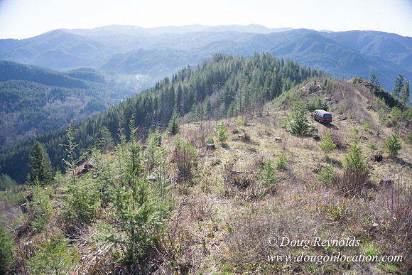 ODF DM View Trail
