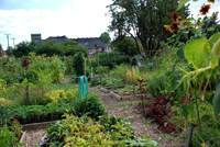 Summers Park Community Garden
