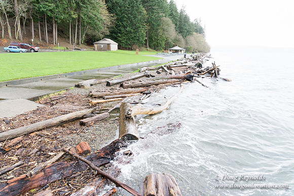 Owen Beach At Pt D