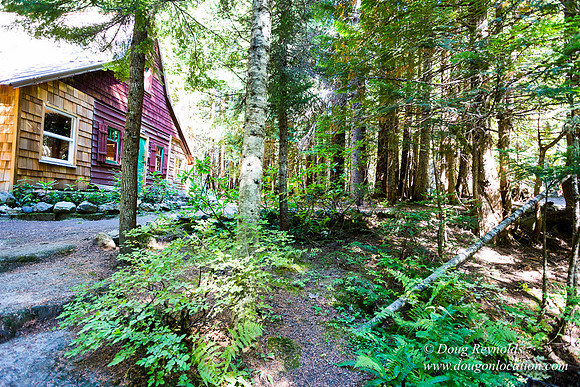 Karri's Cabin