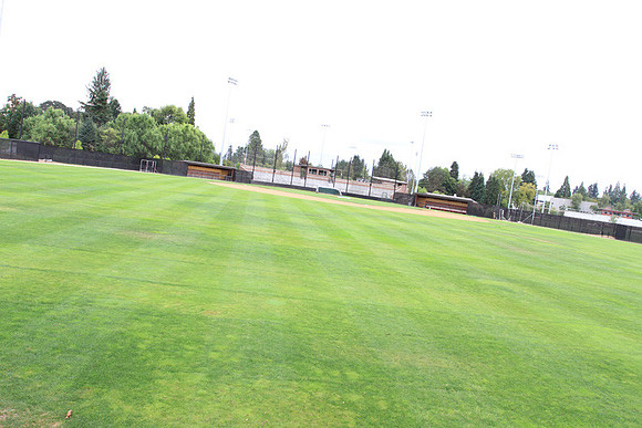 Forest Grove Baseball