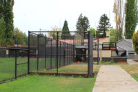 Beaverton Baseball