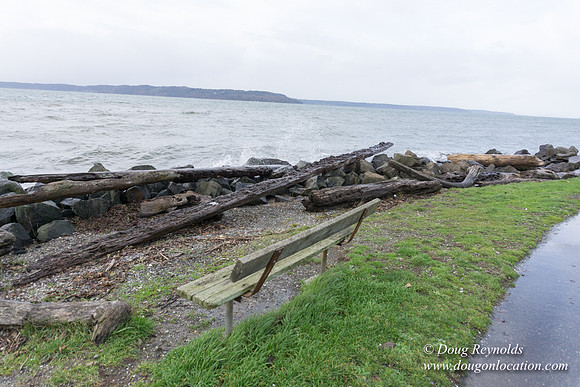 Saltwater State Park