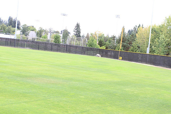 Forest Grove Baseball