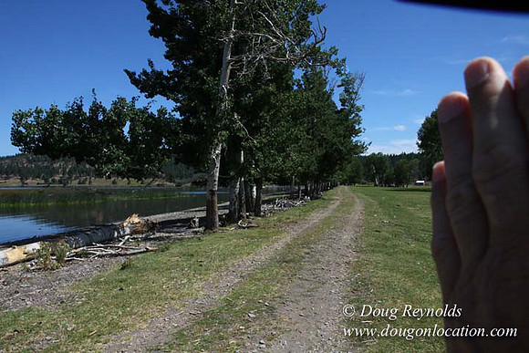 2500 Acres of green fields Creeks water crossing Bridges on a Large Lake and miles of Dirt roads Oak trees Forest land ATV Trails cows