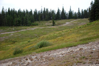 Summit Ski Area-0870