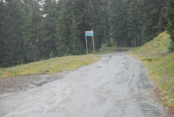 West Leg Road Timberline-0656