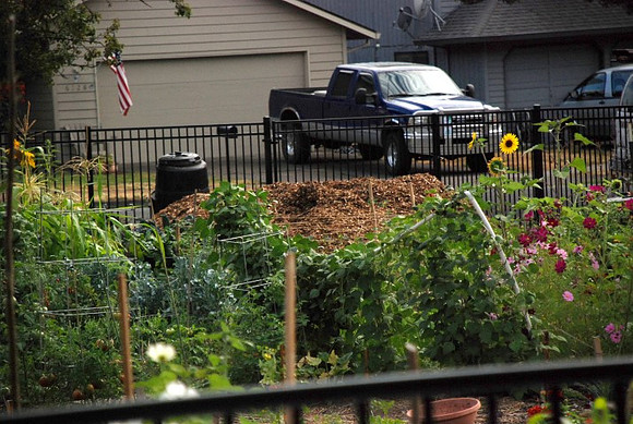 Mt Tabor Park community garden