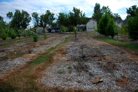 Mt Tabor Park nursery