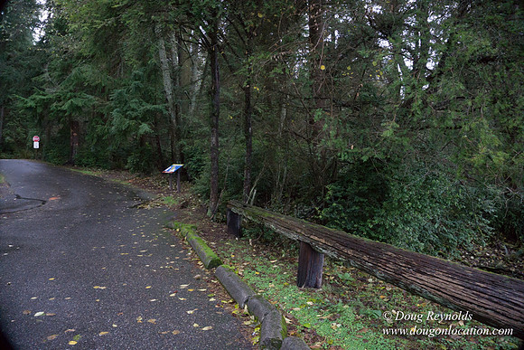 Vashon View