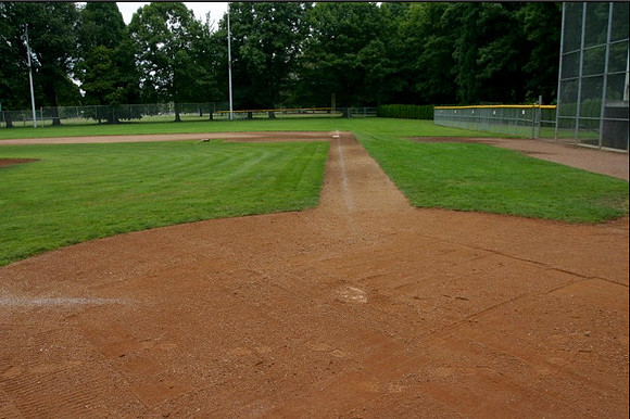 Sckavone Field-0106 copy