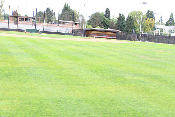 Forest Grove Baseball