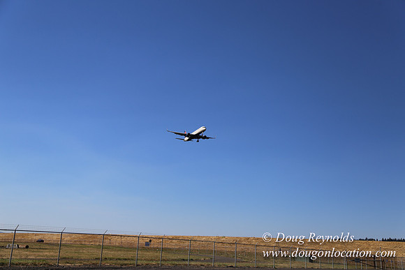 West End N Runway-4971