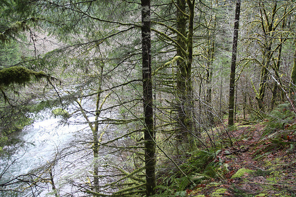 Elk Creek