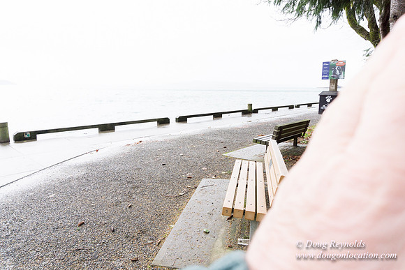 Owen Beach At Pt D