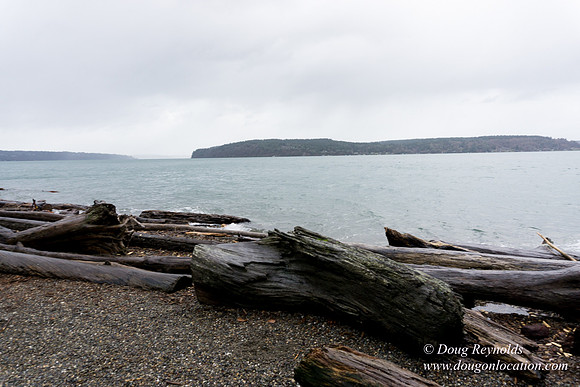 Owen Beach At Pt D