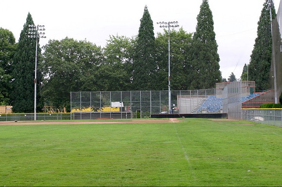 Sckavone Field-0103 copy