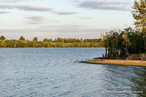 Vancouver Lake Park