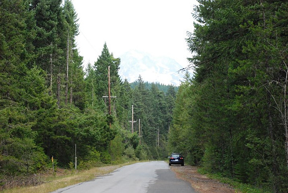 Road 39 near Mt. Hood-0889