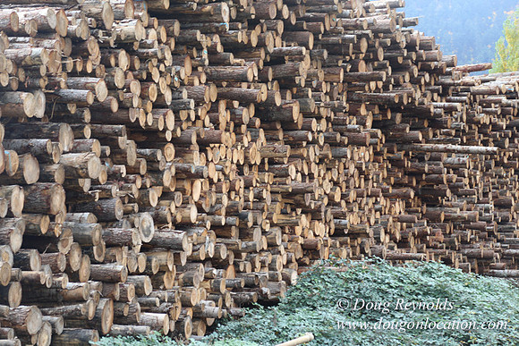 SDS Lumber-1422