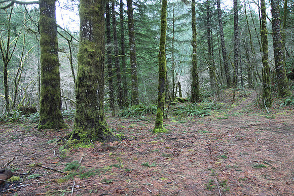 Elk Creek