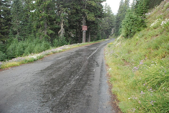West Leg Road Timberline-0651