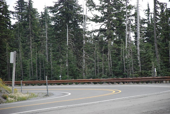 Timberline Road -0823