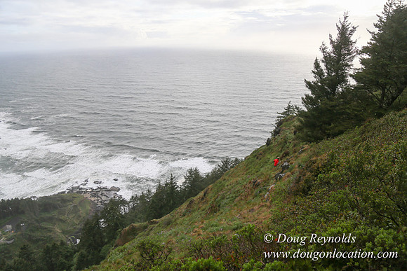 Ross Cape Perpetua-1775
