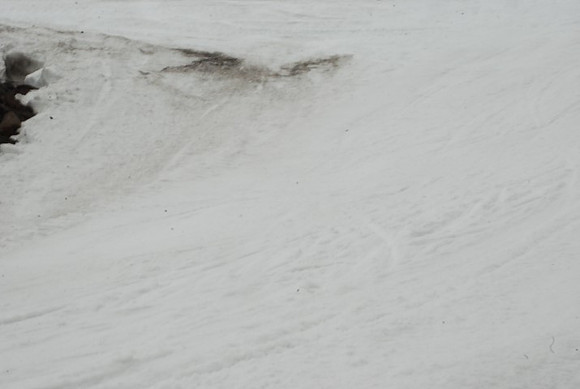 Snow at Timberline-0552