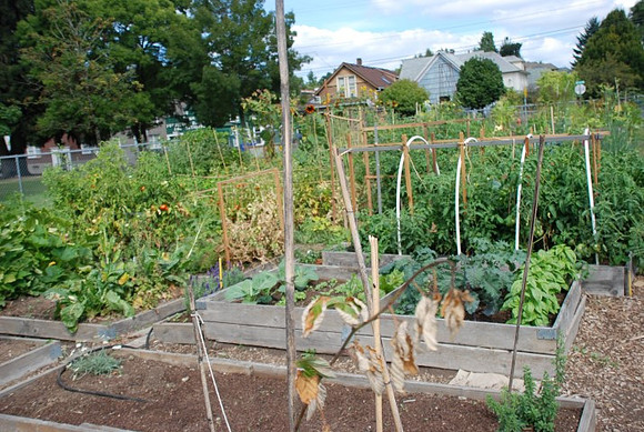 Summers Park Community Garden