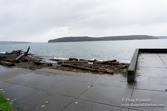 Owen Beach At Pt D