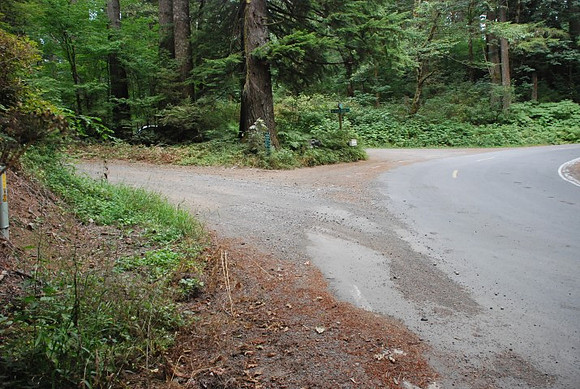 Haines Road-0938