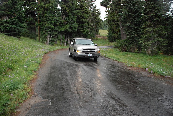 West Leg Road Timberline-0664