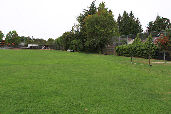 Beaverton Baseball