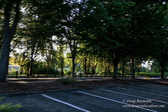 Vancouver Lake Park
