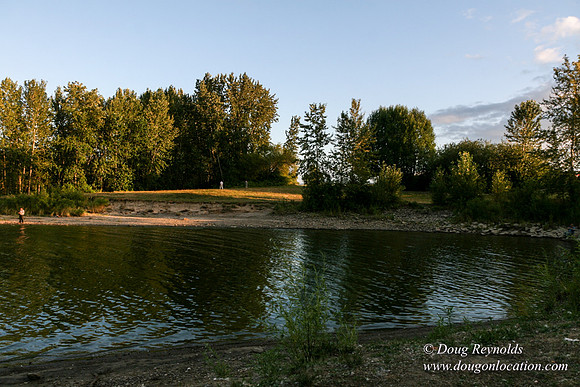 Vancouver Lake Park