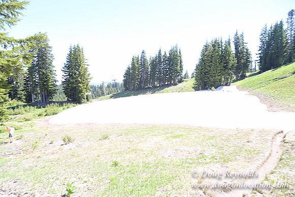 Medow's Snow-5788