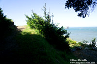Ranch 26 Beach South Overlook